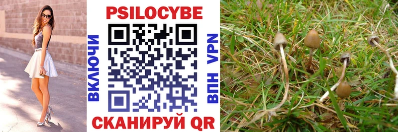 Купить где  Миасс  Галлюциногенные грибы мухоморы 