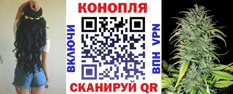 Купить где  Миасс  Каннабис SATIVA & INDICA 